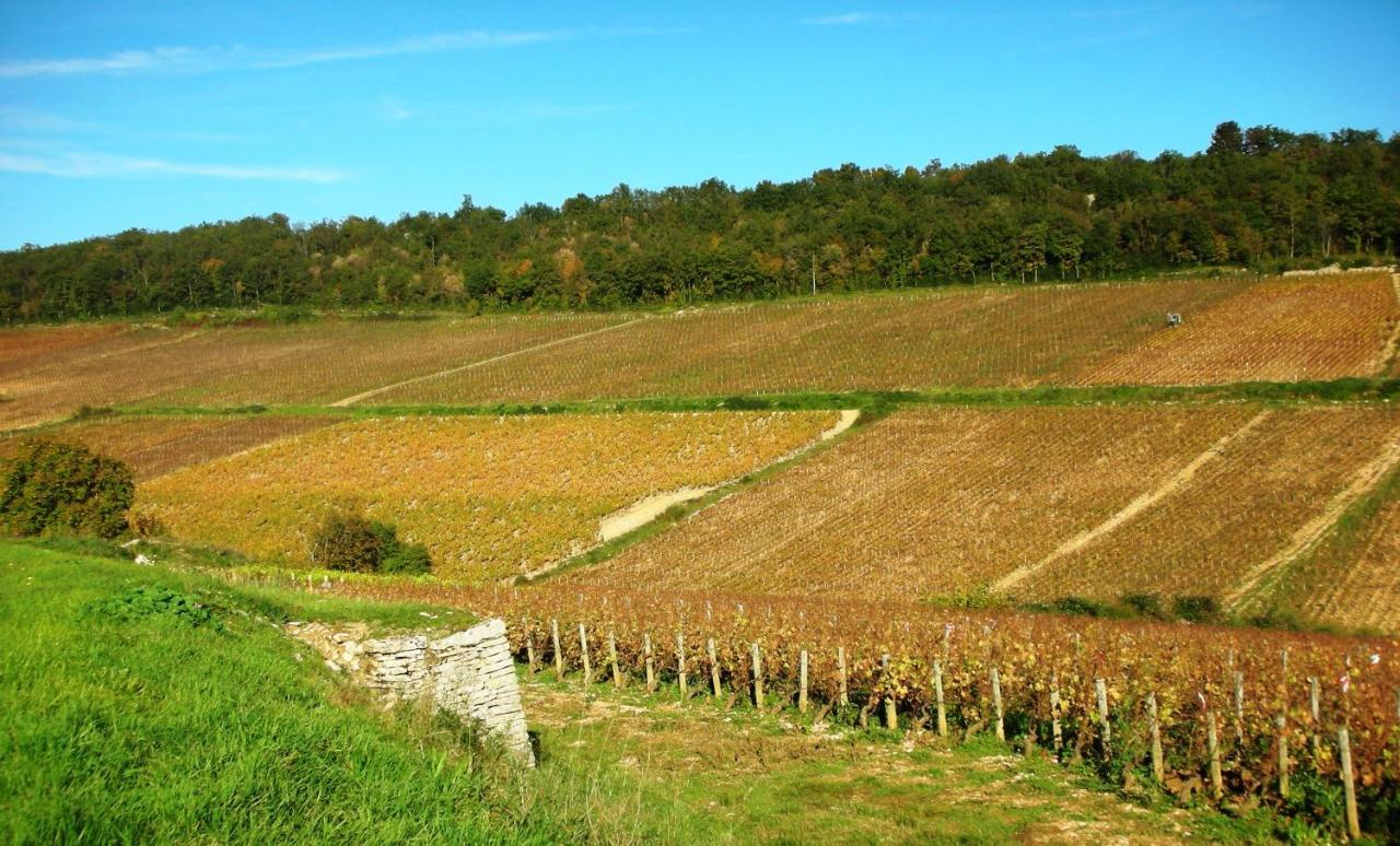 Domaine De La Corgette Acomodação com café da manhã Saint-Romain  Exterior foto